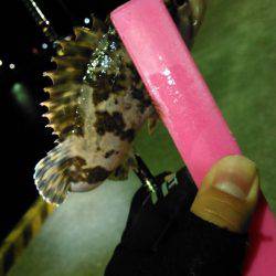 さむーいしぶーい夜の巻